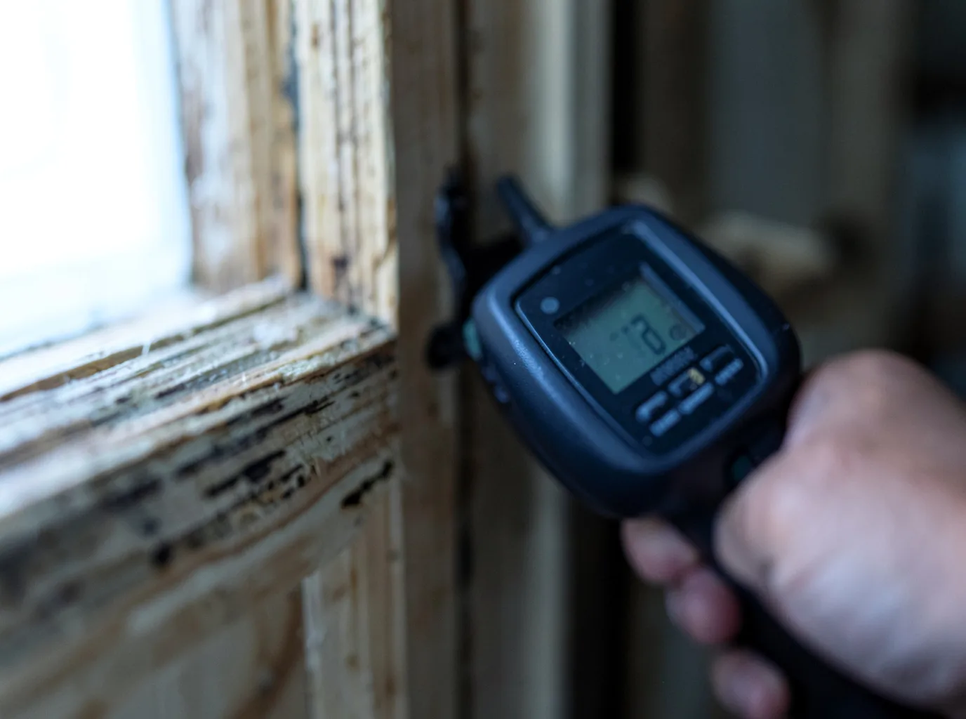 Moisture Inspection And Documentation in Blanchard, MI